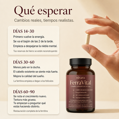 FerraVital® Soporte de Ferritina