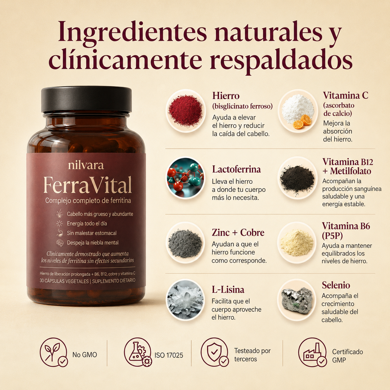 FerraVital® Soporte de Ferritina