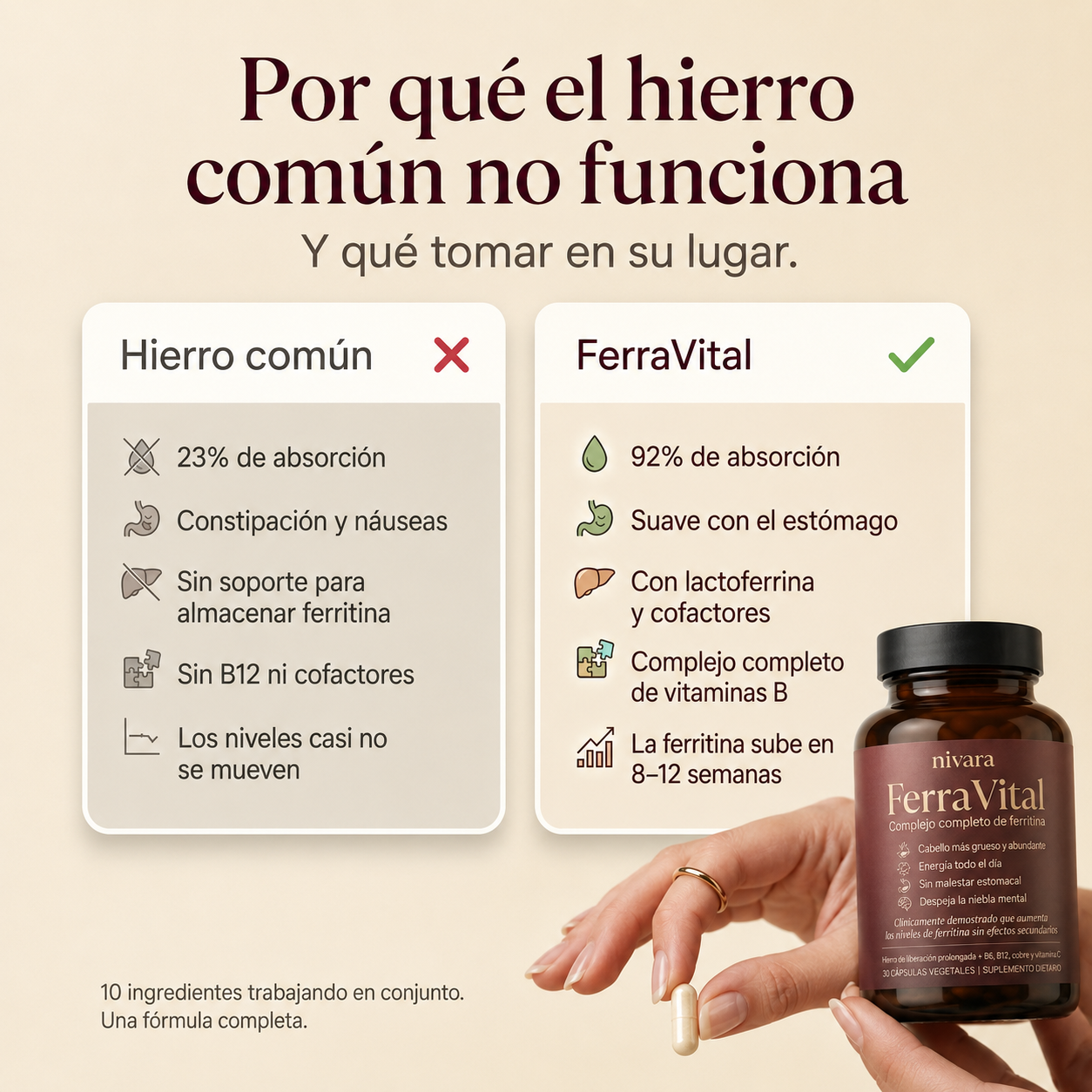 FerraVital® Soporte de Ferritina